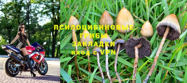 гашик Алексеевка