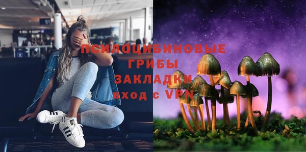 гашик Алексеевка