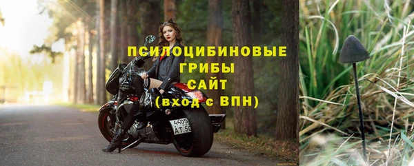 амф Алексин